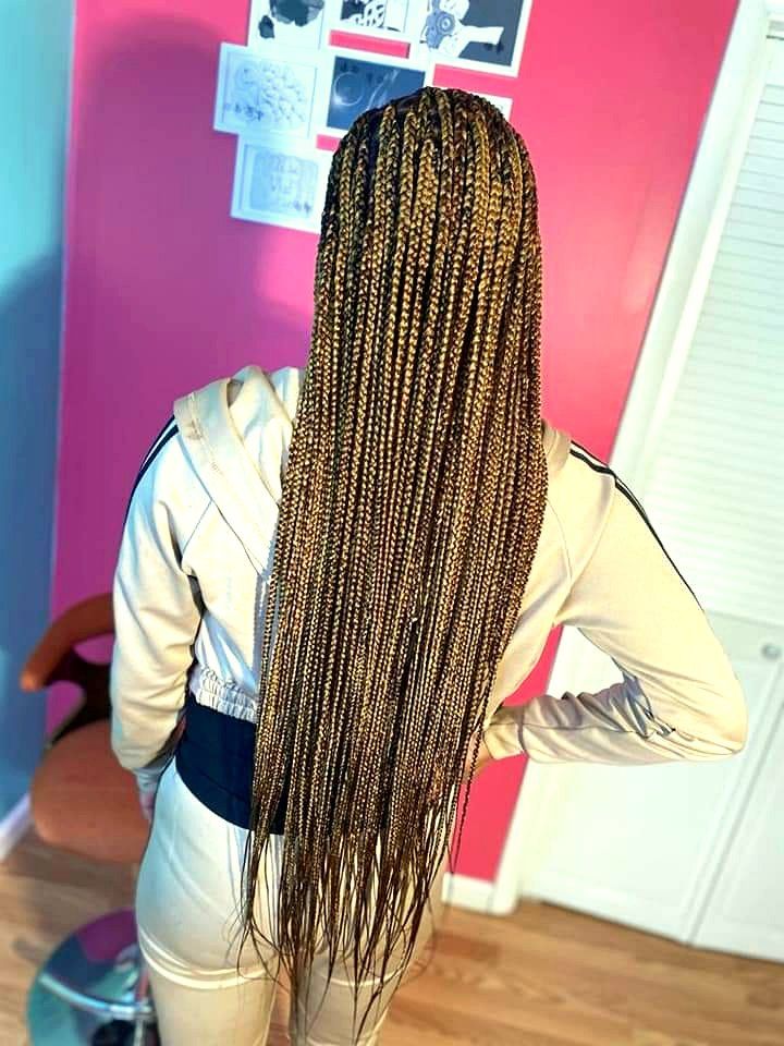 Long honey-brown braids, seen from behind